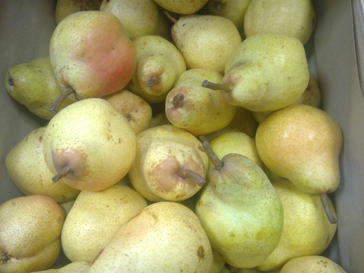 Poires