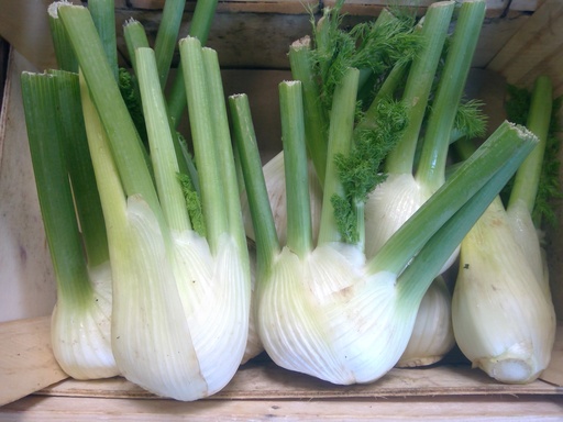 Fenouil